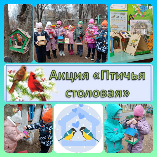 Акция "Птичья столовая" Акция "Птичья столовая".